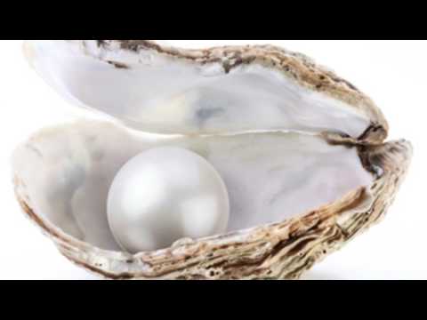 HD Barleben Song - offizielle Hymne zur 950 Jahr Feier 2012 Video-NEU