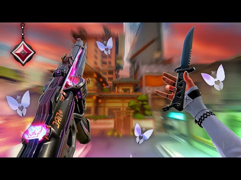 Top 0.1% Clove Main...