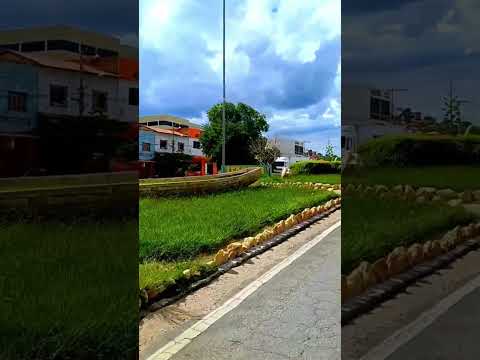 ITAOBIM -MG TERRA DA MANGA🥭 #minasgerais #roça #sertanejo #shorts