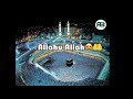 Wo Tanha Kon Hai Allahu Allah Naat Status