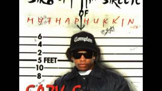 Muthaphuckkin' Real Feat. MC Ren