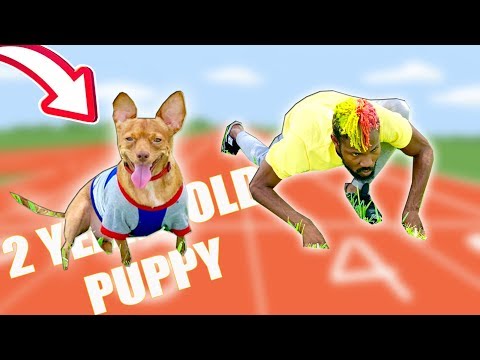 DOG VS HUMAN SPRINTING - WHO’S FASTER?