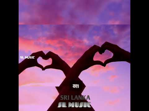 Dimi3 x Jizzy (අදිද්දී )