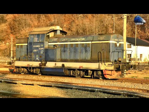 Trenuri & Activitate Feroviară în Gara Ilva Mică - 14 Noiembrie 2025