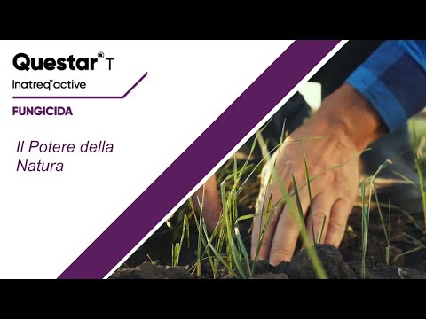 Questar T: ecco il Potere della Natura!