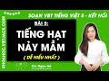 Vở bài tập Tiếng Việt Lớp 5 Bài 5: Tiếng hạt nảy mầm