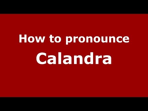 How to pronounce Calandra