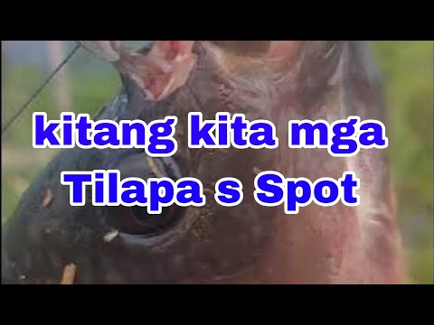 Airgun Tiksay Fish Hunter/ Spot ng Meralco!