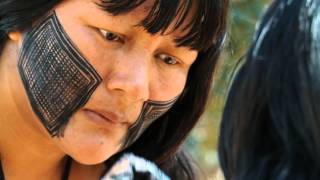 Damocracy: Versão Brasileira