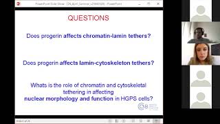 Chromatin and cytoskeletal tethering determine nuclear morphology in progerin expressing cells