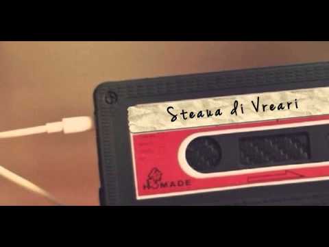 Steaua di Vreari & Elena Gheorghe - Dorlu (Audio)
