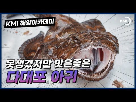 [바다맛] 부산 다대포 아귀 동영상표지