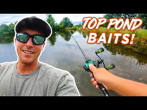 You NEED To Be Fishing These Baits In Ponds! (Bass Fishing Tips)