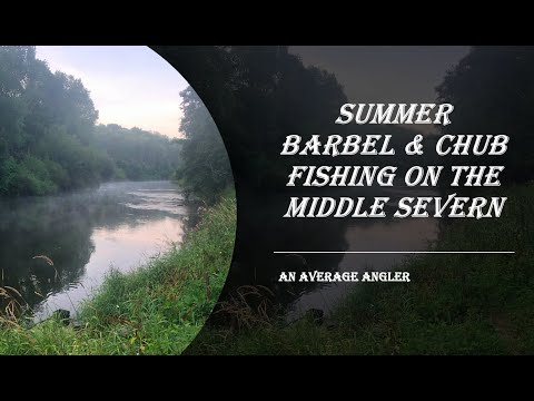 Summer Barbel & Chub Fishing on The Middle Severn