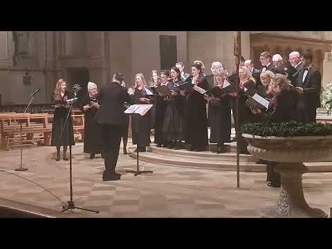 Sv. Nektarije Eginski "Agni partene", Chor Singidunum, Dirigent Marko Nešić, 06