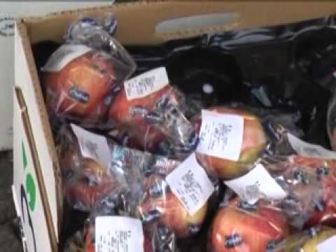 ONDA TG 13.10.2012 - GIORNATA CONTRO IL DOLORE