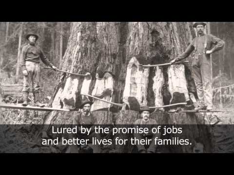 Compromis historique (anglais)