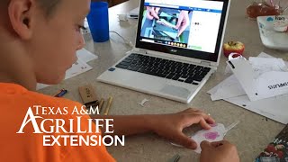 Educating Your Child at Home