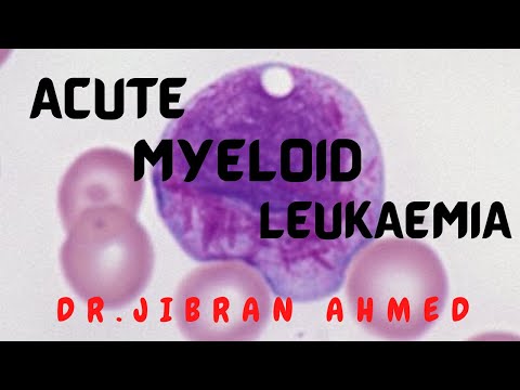 NORMAL HEMATOPOESIS II HEMATOLOGY II ROBBINS 10TH E II DrJIBRANAHMED