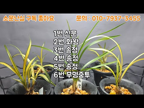유튜브 썸네일