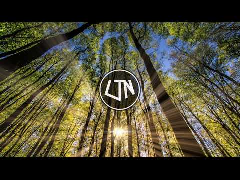 Basstracks - I'm Alright (feat. R.LUM.R)