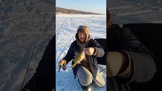 Lake Of The Prairies Jumbo