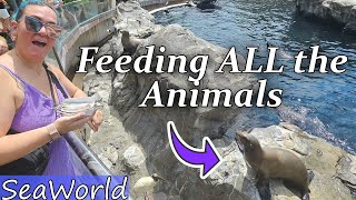 We Fed ALL the Animals at SeaWorld!