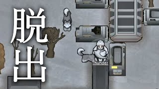 RimWorld #23 惑星からの脱出！みんな宇宙船に乗り込め！