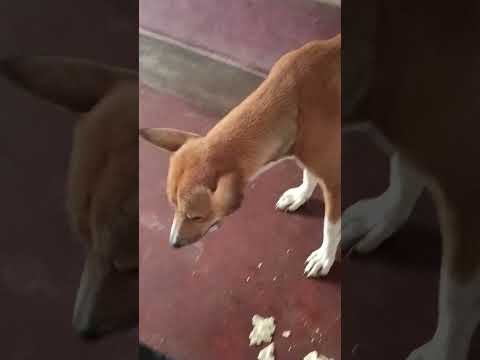 #love #subcribe# good morning