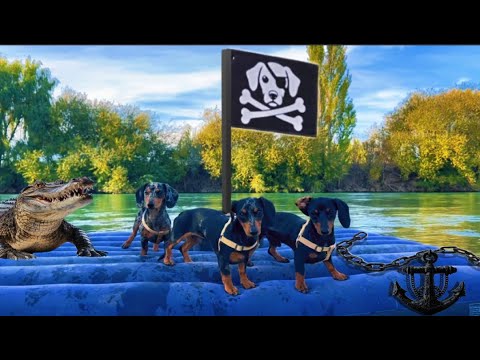 Salchi Piratas Buscando el TESORO ⚓🐶⛵