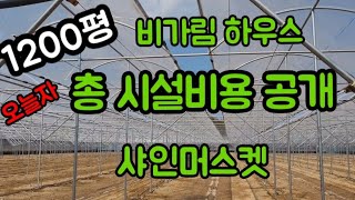#샤인머스켓재배기술 #비가림하우스시설비용 #포도밭시설비용     #비닐하우스비용