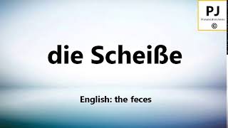 How to pronounce die Scheiße (5000 Common German Words)
