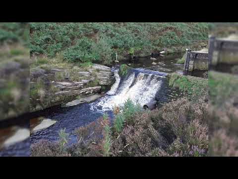 "Feelings are just visitors, let them come and go."                                     - Mooji