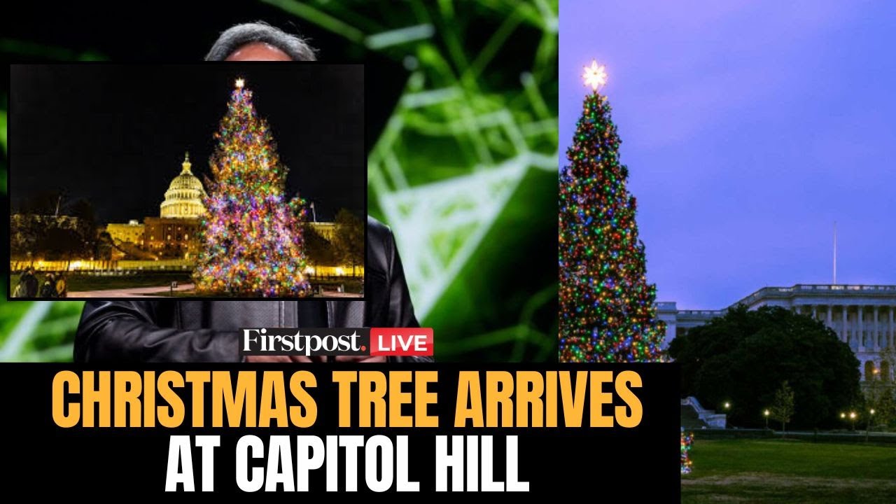 Christmas Day LIVE: US Capitol Hill Christmas Tree Delivered | Merry Christmas 2025 | X Mas Tree