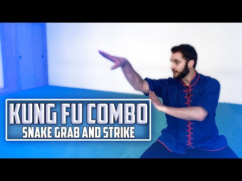 Kung Fu Combo - Snake Style Grab and Strike 🐍