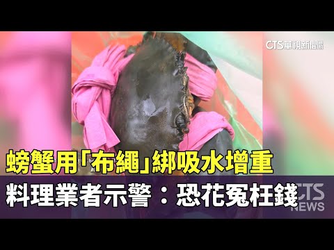 螃蟹用「布繩」綁吸水增重　料理業者示警：恐花冤枉錢