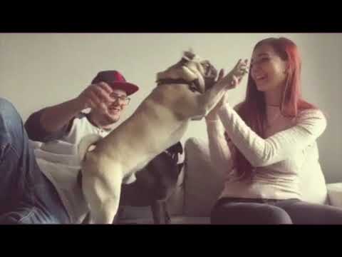 Wahnsinns Freude im Gebäude - Blechreiz Brassquintett (Corona Special)