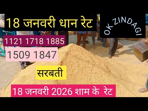 1885 1121 1718 1509 1847 सरबती paddy price today