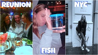 REUNION, NEW PET FISH, MADDIE IN NYC! | KFZ MNZ