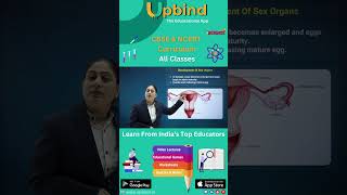 Reaching the Age of Adolescence | Science | Class 8 | Upbind - The Educational App