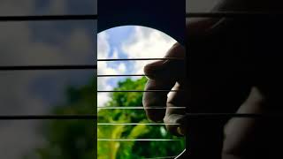 Download lagu video story wa gitar keren #Shorts #status #shortvideo #shortsvideo #shorts mp3