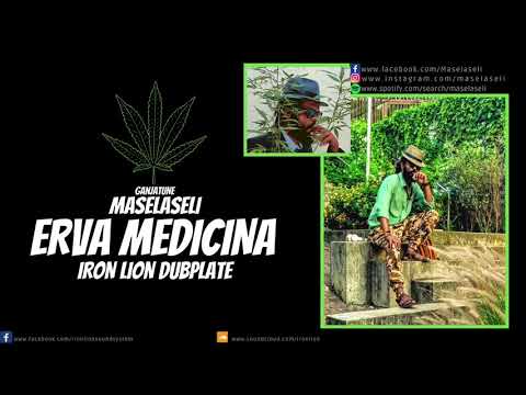 Maselaseli - Erva Medicina (IRON LION DUBPLATE)