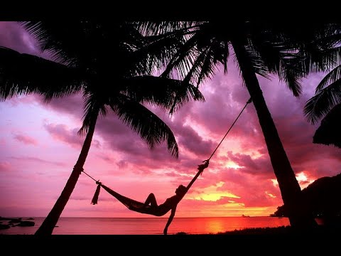 The Best Of House Music // Mix Session By Mike Menotti (Trust My Mix Podcast)