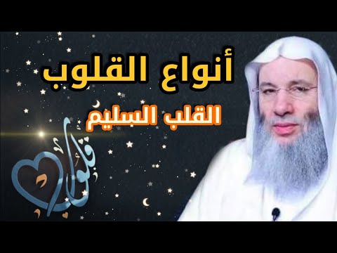 أنواع القلوب القلب السليم ح 6 برنامج قلوب مع فضيلة الشيخ الدكتور محمد حسان