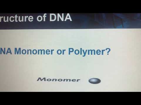 8.2 “Structure of DNA”(Part1)