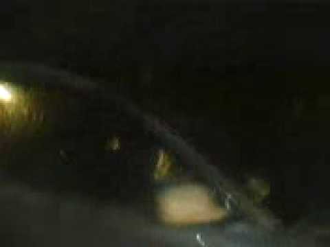 Prostia omeneasca la marsani