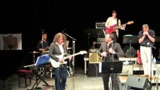 Mr Pi Blues Band Hoochie Coochie Man Live feat B.Ring