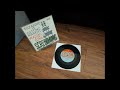 Screeching Weasel - Suzanne Is Getting Married (1994 Chicago,IL) [LK86]