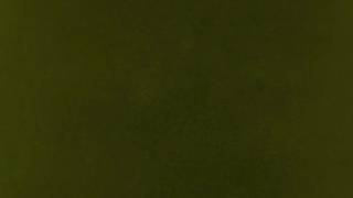 Kendrick Lamar - Untitled 4 (Untitled Unmastered)