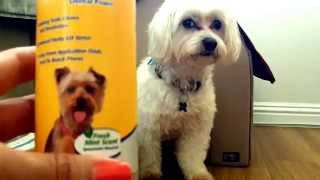 Arm and Hammer Dental Foam: Dog Product Review